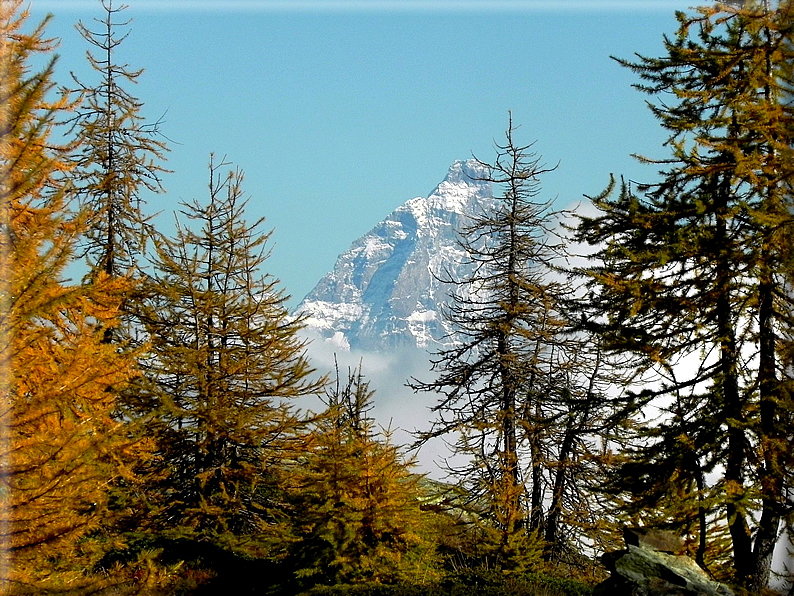 foto Salita al Rifugio Barbustel